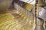 "mash-tub" in der Glen Morangie Destillerie